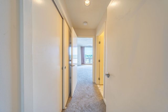 50 Watertown St 610, Watertown, MA 02472