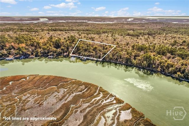 1775 Delegal Road, Townsend, GA 31331