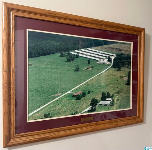 11324 COUNTY ROAD 33, Ashville, AL 35953