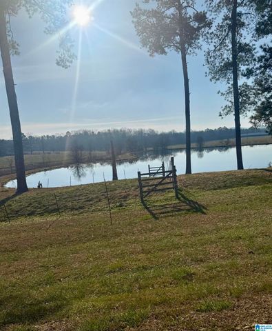 11324 COUNTY ROAD 33, Ashville, AL 35953
