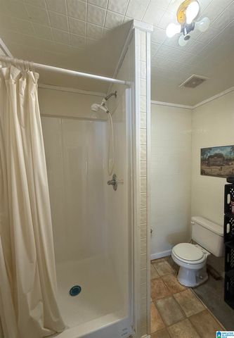 11324 COUNTY ROAD 33, Ashville, AL 35953