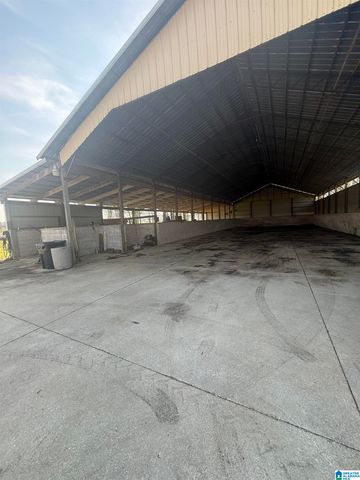 11324 COUNTY ROAD 33, Ashville, AL 35953