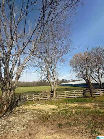 11324 COUNTY ROAD 33, Ashville, AL 35953