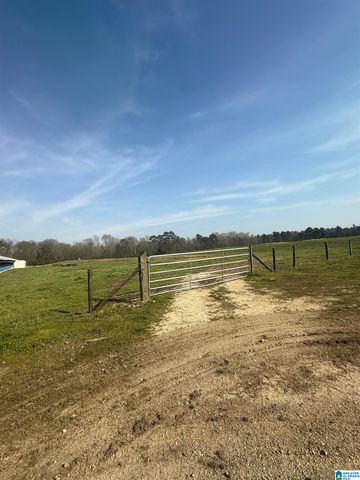 11324 COUNTY ROAD 33, Ashville, AL 35953