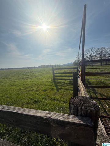 11324 COUNTY ROAD 33, Ashville, AL 35953