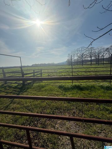 11324 COUNTY ROAD 33, Ashville, AL 35953