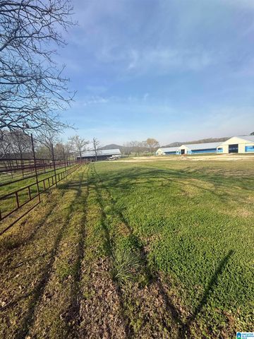 11324 COUNTY ROAD 33, Ashville, AL 35953