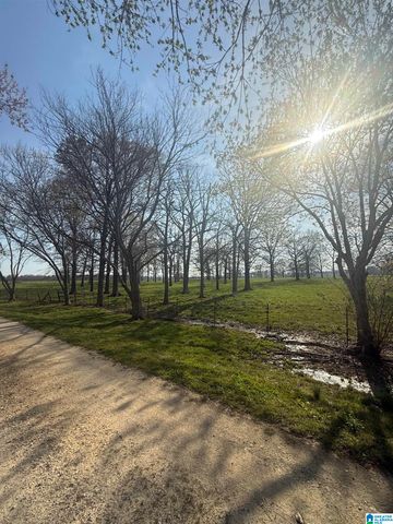 11324 COUNTY ROAD 33, Ashville, AL 35953