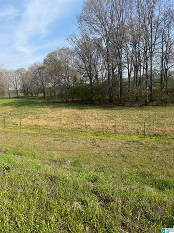 11324 COUNTY ROAD 33, Ashville, AL 35953