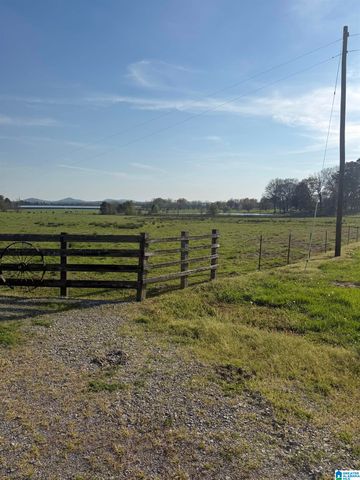 11324 COUNTY ROAD 33, Ashville, AL 35953