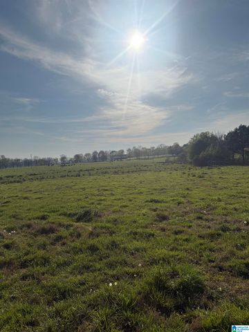 11324 COUNTY ROAD 33, Ashville, AL 35953