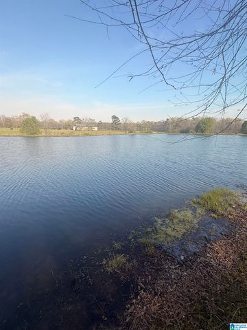 11324 COUNTY ROAD 33, Ashville, AL 35953