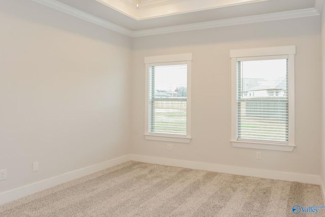 14574 River Birch Lane, Athens, AL 35613