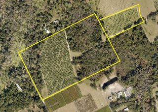 NO STREET, De Leon Springs, FL 32130