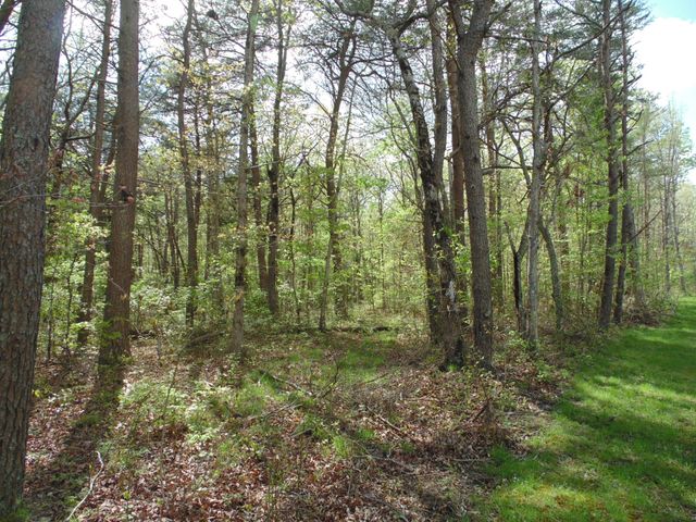 128 Timberwood Tr, Monteagle, TN 37356