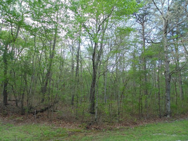 128 Timberwood Tr, Monteagle, TN 37356