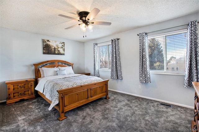 994 Pleasant View Street, Castle Rock, CO 80104