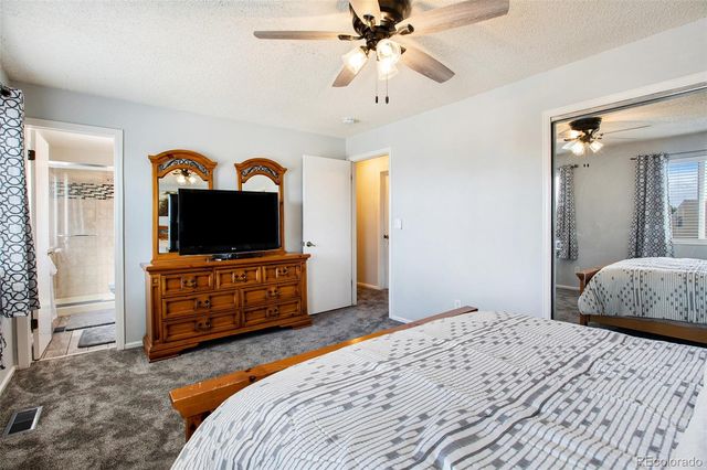 994 Pleasant View Street, Castle Rock, CO 80104