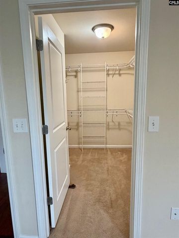 328 BANEBERRY Loop, Lexington, SC 29073