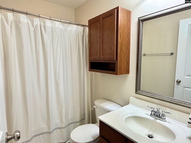 328 BANEBERRY Loop, Lexington, SC 29073