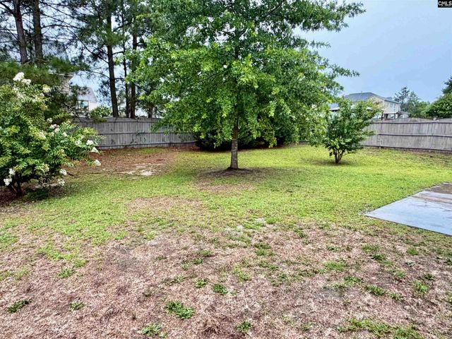328 BANEBERRY Loop, Lexington, SC 29073