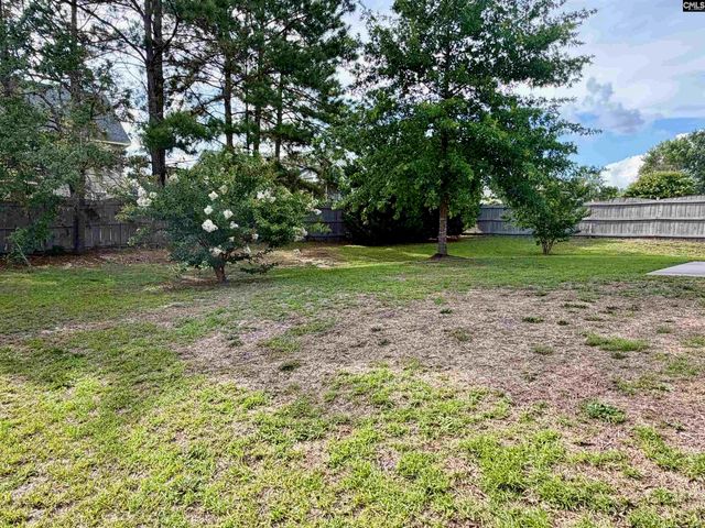 328 BANEBERRY Loop, Lexington, SC 29073