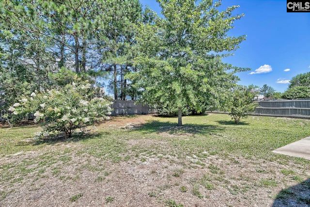 328 Baneberry Loop, Lexington, SC 29073