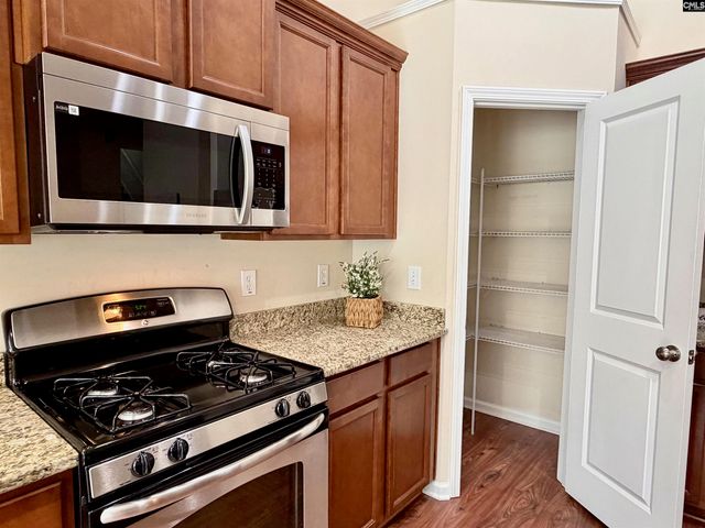 328 BANEBERRY Loop, Lexington, SC 29073