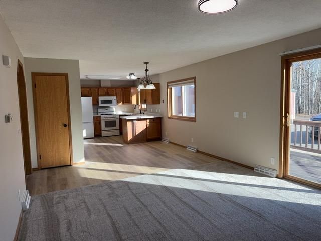 50891 County 36, Bemidji, MN 56601