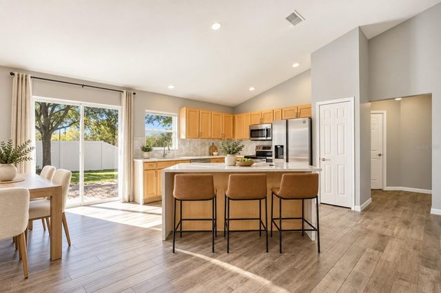 1408 WINDY BLUR DRIVE, Minneola, FL 34715