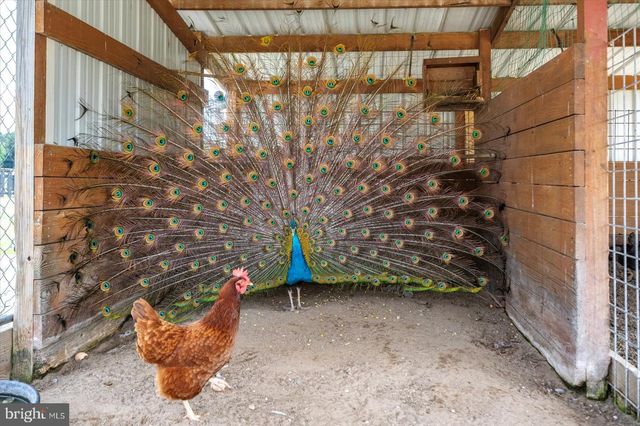 31191 JOHNSON RD, Salisbury, MD 21804