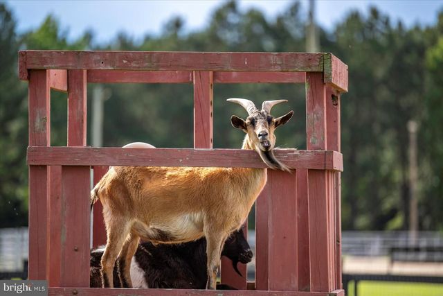 31191 JOHNSON RD, Salisbury, MD 21804