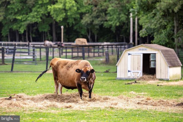 31191 JOHNSON RD, Salisbury, MD 21804