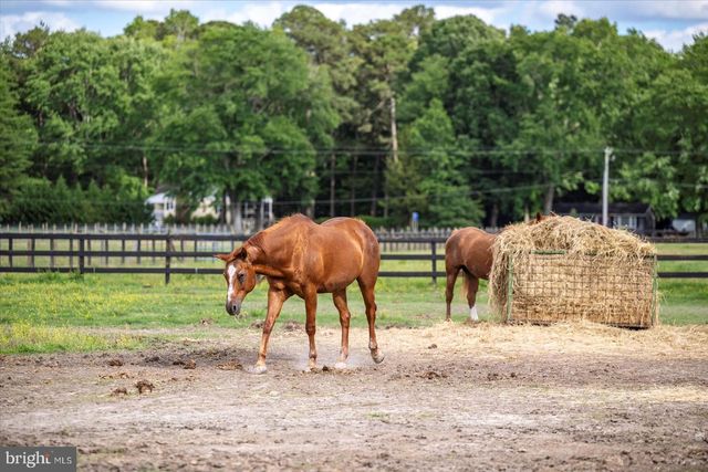 31191 JOHNSON RD, Salisbury, MD 21804