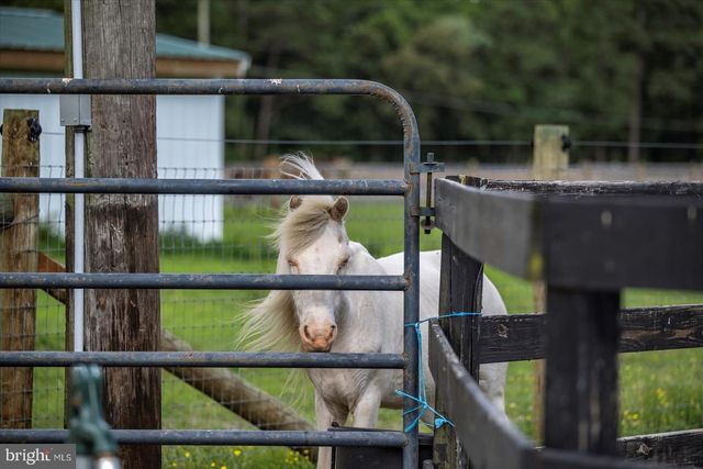 31191 JOHNSON RD, Salisbury, MD 21804