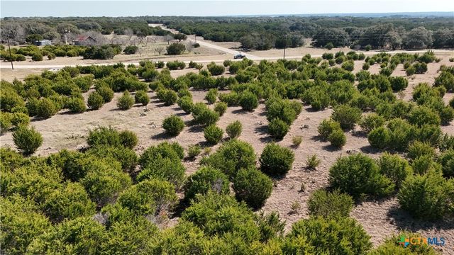 Lot 42 Starfall Drive, Lampasas, TX 76550