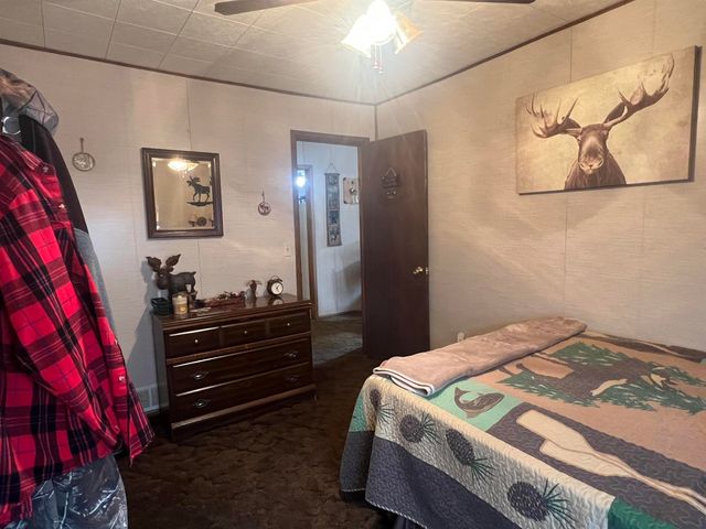 917 Oak Drive, Lake, MI 48632