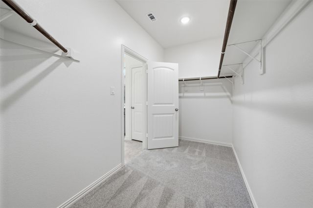 1228 Sabine River Lane, Springtown, TX 76082