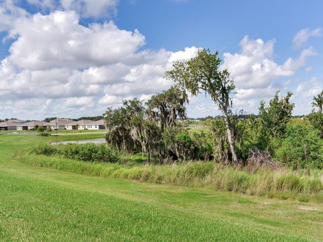 3723 STORMY THISTLE PLACE, Plant City, FL 33565