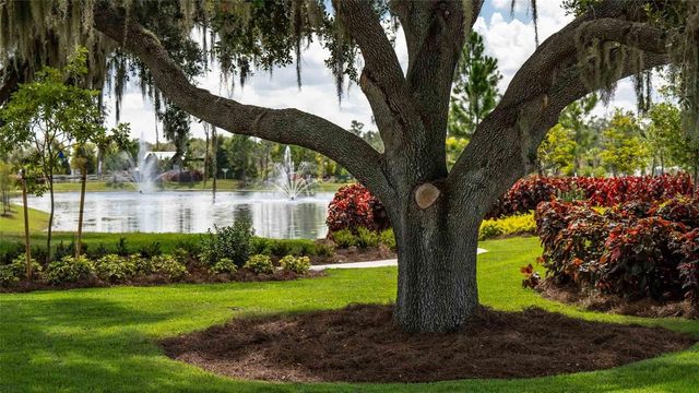 3723 STORMY THISTLE PLACE, Plant City, FL 33565