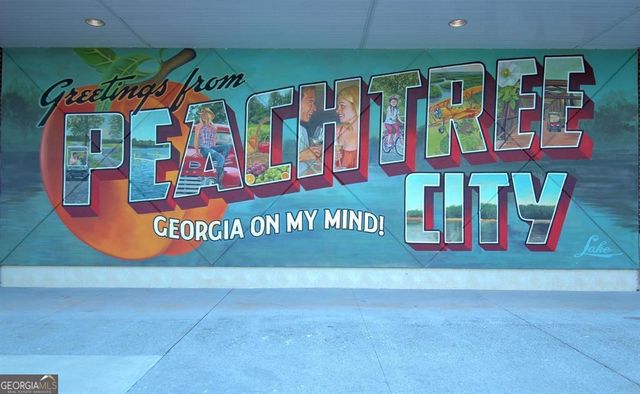 806 Smokey Way, Peachtree City, GA 30269