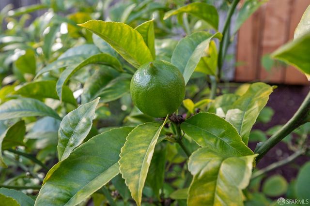 3853 22nd Street, San Francisco, CA 94114