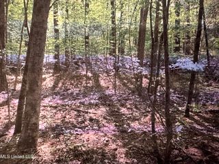 Stigler Rose Dr., Florence, MS 39073