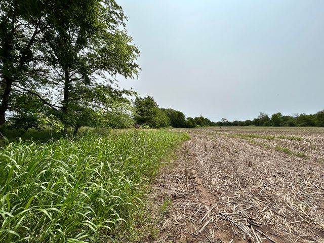 Lot 1 South State Highway T, Springfield, MO 65802