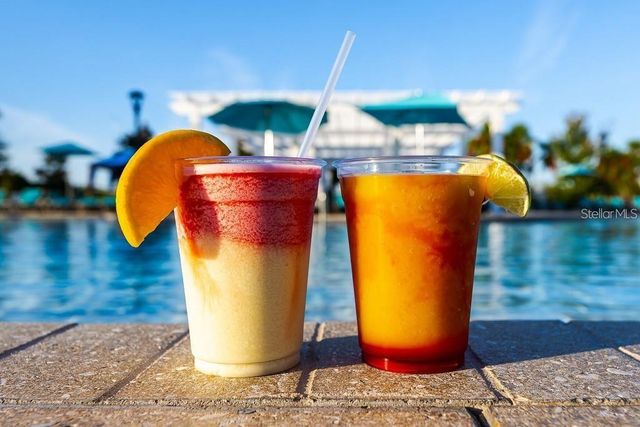 1876 NICE COURT, Kissimmee, FL 34747