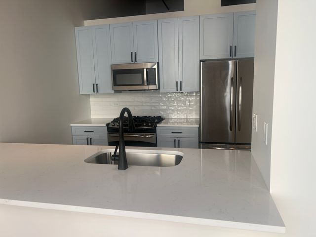 521 W SUPERIOR Street 132, Chicago, IL 60654