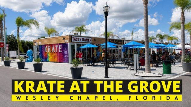 31251 BACLAN DRIVE, Wesley Chapel, FL 33545