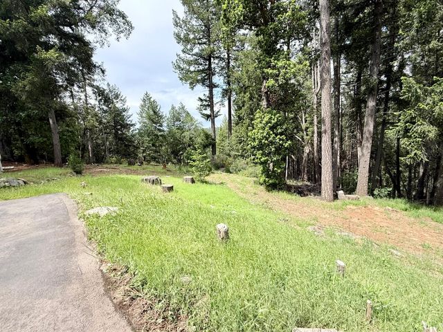 2506 Buffalo Hill Rd, Georgetown, CA 95634