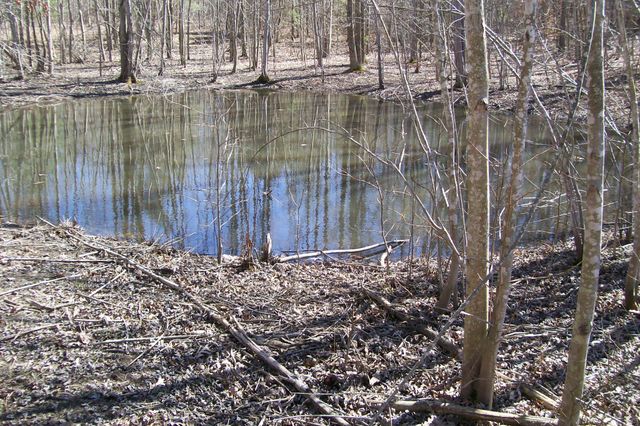 0 Wildwood Rd, Mcminnville, TN 37110