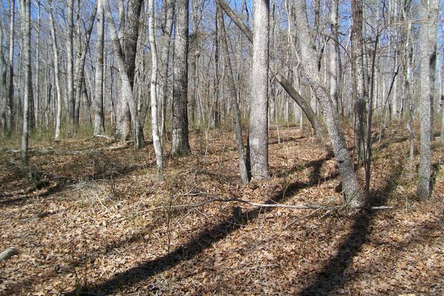 0 Wildwood Rd, Mcminnville, TN 37110